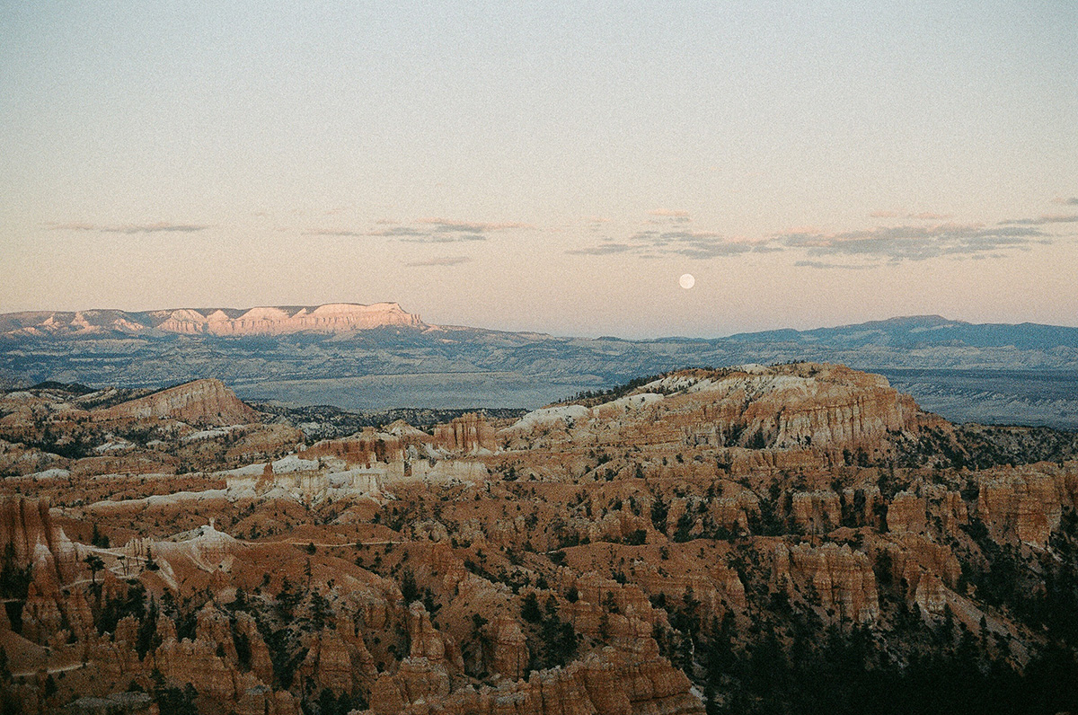 商品メイン画像